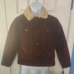 Kids Brown Jacket with Cream Collar